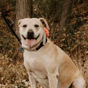 Meet your Posher, Sonia